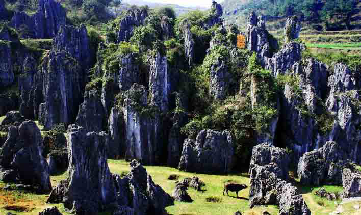 銅仁最美的10大景區(qū):除了梵凈山之外,還有哪里值得一去?