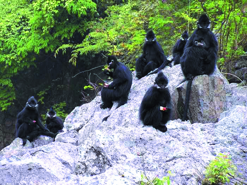 銅仁最美的10大景區(qū):除了梵凈山之外,還有哪里值得一去?
